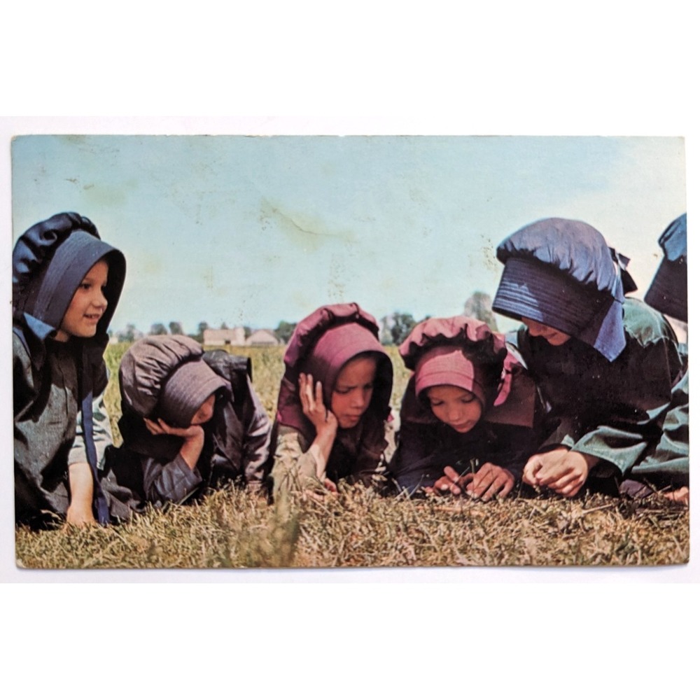 Amish Girls in the Grass during Recess Eastern‎ Penna Dutch Country VTG Postcard